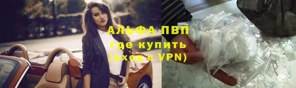 стафф Михайловск