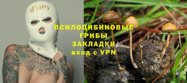 стафф Михайловка