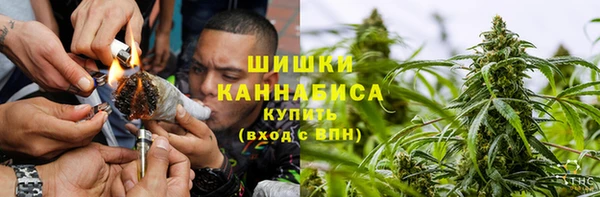 стафф Михайловск