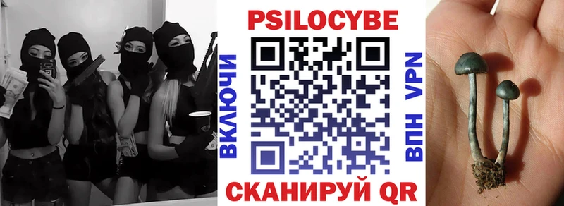 продажа наркотиков Бирск Псилоцибиновые грибы GOLDEN TEACHER
