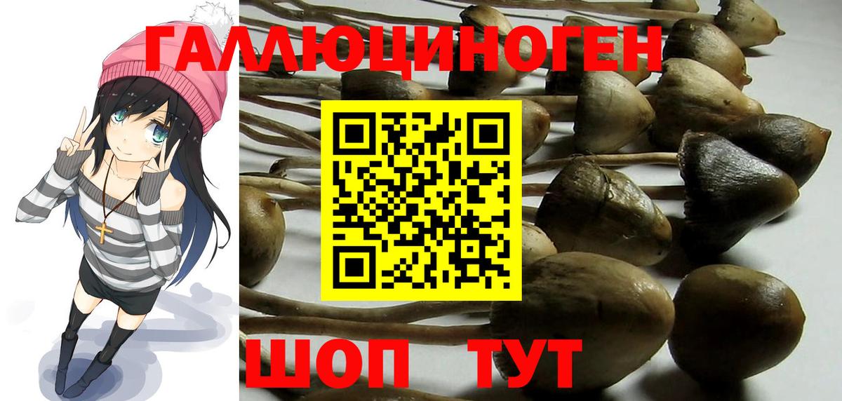 Бирск  Псилоцибиновые грибы мухоморы  Вход с VPN  Псилоцибиновые грибы ЛСД 